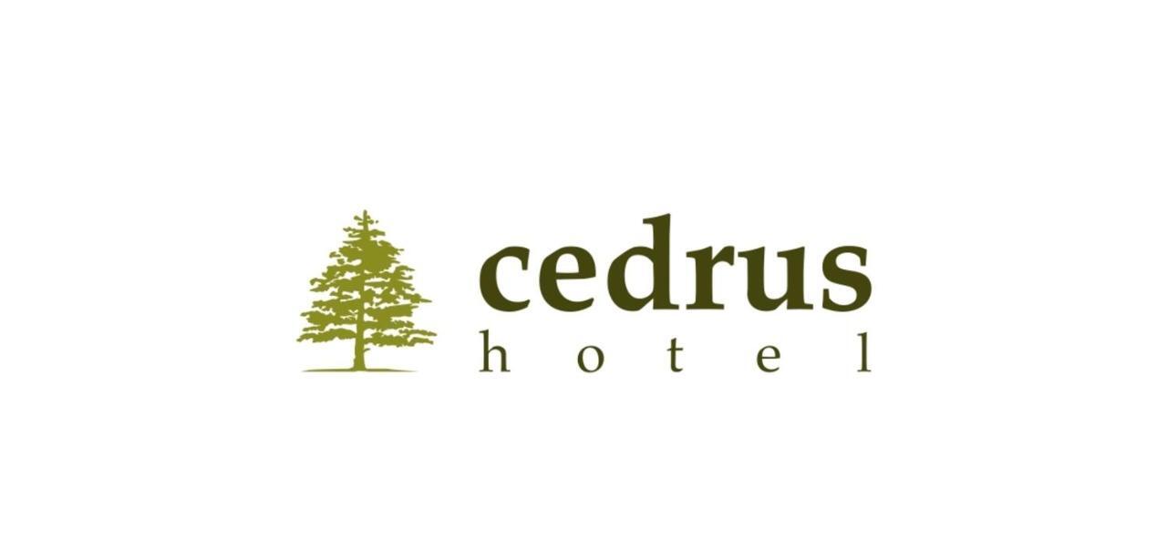 Cedrus Hotel Анталья Экстерьер фото